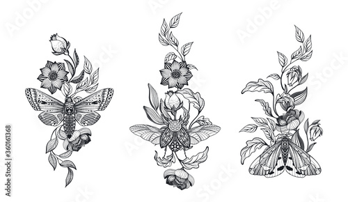 Collection of black and white moths and beetle, flowers, branches, isolated vector illustration.