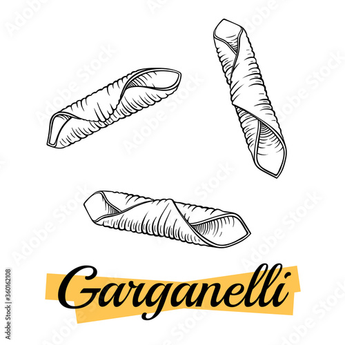 Garganelli Italian pasta, isolated on white. Group of garganelli close-up. Pasta italiana package design element. Pasta secco for cook or recipe book. Simple quick side dish for vegetarian. Vector.