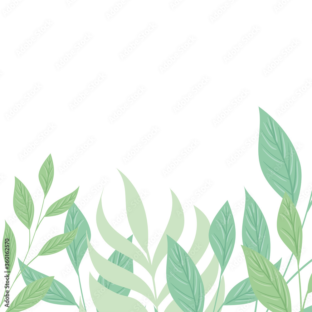 Fototapeta premium decoration of tropical branches and leaves pastel color on white background vector illustration design