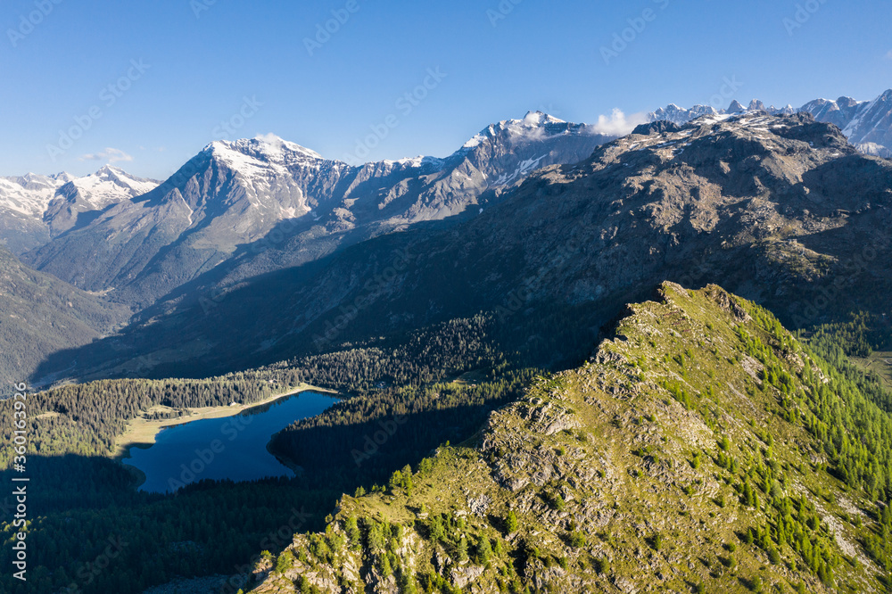 Alpine landscape, panoramic view from a top of the mountain. 
Valley with lake and forest in Valtellina.
Lake Palù, Valmalenco