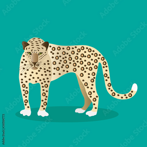 Jaguar on a green background. Animals of South America.