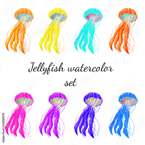 Colorful set of under water sea and ocean animals jellyfish with tentacles. Watercolor hand drawn illustration realistic. Hello summer, diving, toxic beautiful creature, danger, luminescent, medusa.