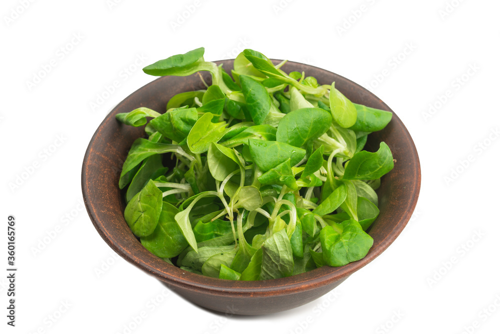 Mash salad on white background. Top view. Mash salad on white background. Top view.