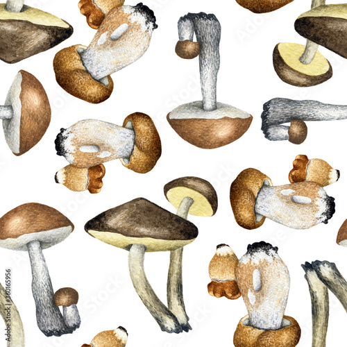 Pattern watercolor mushroom. Hand drawn Porcini or Boletus edulis isolated on white background. Illustration for posters, books, decoration, package, menu