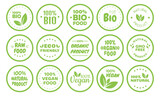 Vegan food logo labels and tags. Vegetarian eco, natural product green concept. Vector hand drawn illustration.