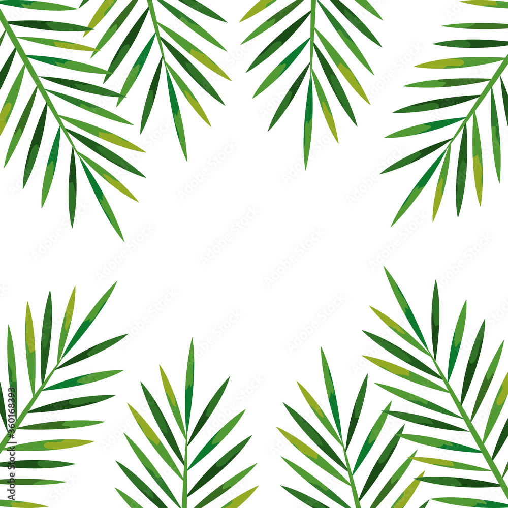 frame of branches with leaves tropical, nature concept vector illustration design