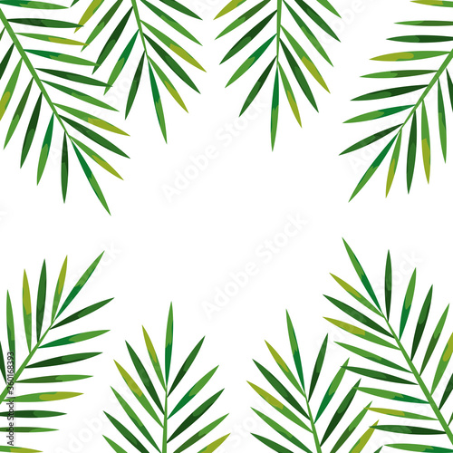 Fototapeta Naklejka Na Ścianę i Meble -  frame of branches with leaves tropical, nature concept vector illustration design