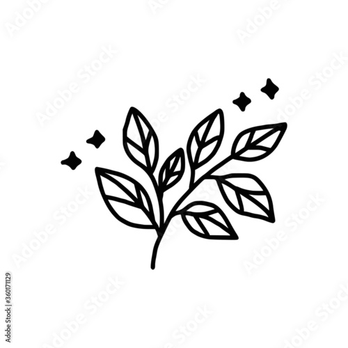 Hand drawn monochrome flower plant, leaf, and foliage element for wedding invitation, floral logo, symbol, greeting cards, decor, botanical icon, or banner. Summer, spring, and autumn botany element