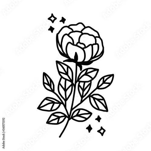 Hand drawn monochrome flower plant, leaf, and foliage element for wedding invitation, floral logo, symbol, greeting cards, decor, botanical icon, or banner. Summer, spring, and autumn botany element