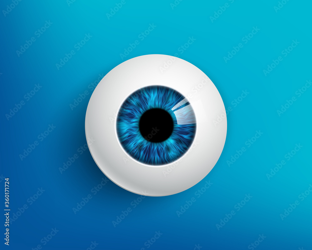 Human eyeball with a blue iris. Human eyeball with a blue iris.