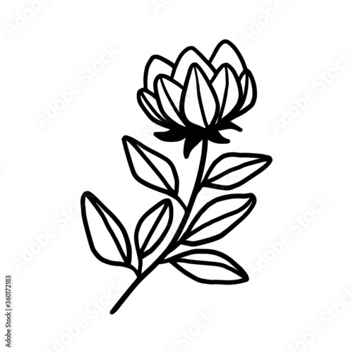 Hand drawn monochrome flower bud  plant  leaf  and foliage element for wedding invitation  logo  symbol  greeting cards  decor  botanical icon  or banner. Summer  spring  and autumn botany element