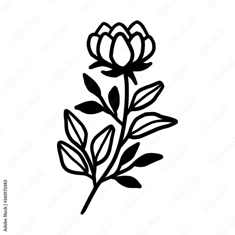 Hand drawn monochrome flower bud, plant, leaf, and foliage element for wedding invitation, logo, symbol, greeting cards, decor, botanical icon, or banner. Summer, spring, and autumn botany element Hand drawn monochrome flower bud, plant, leaf, and foliage element for wedding invitation, logo, symbol, greeting cards, decor, botanical icon, or banner. Summer, spring, and autumn botany element