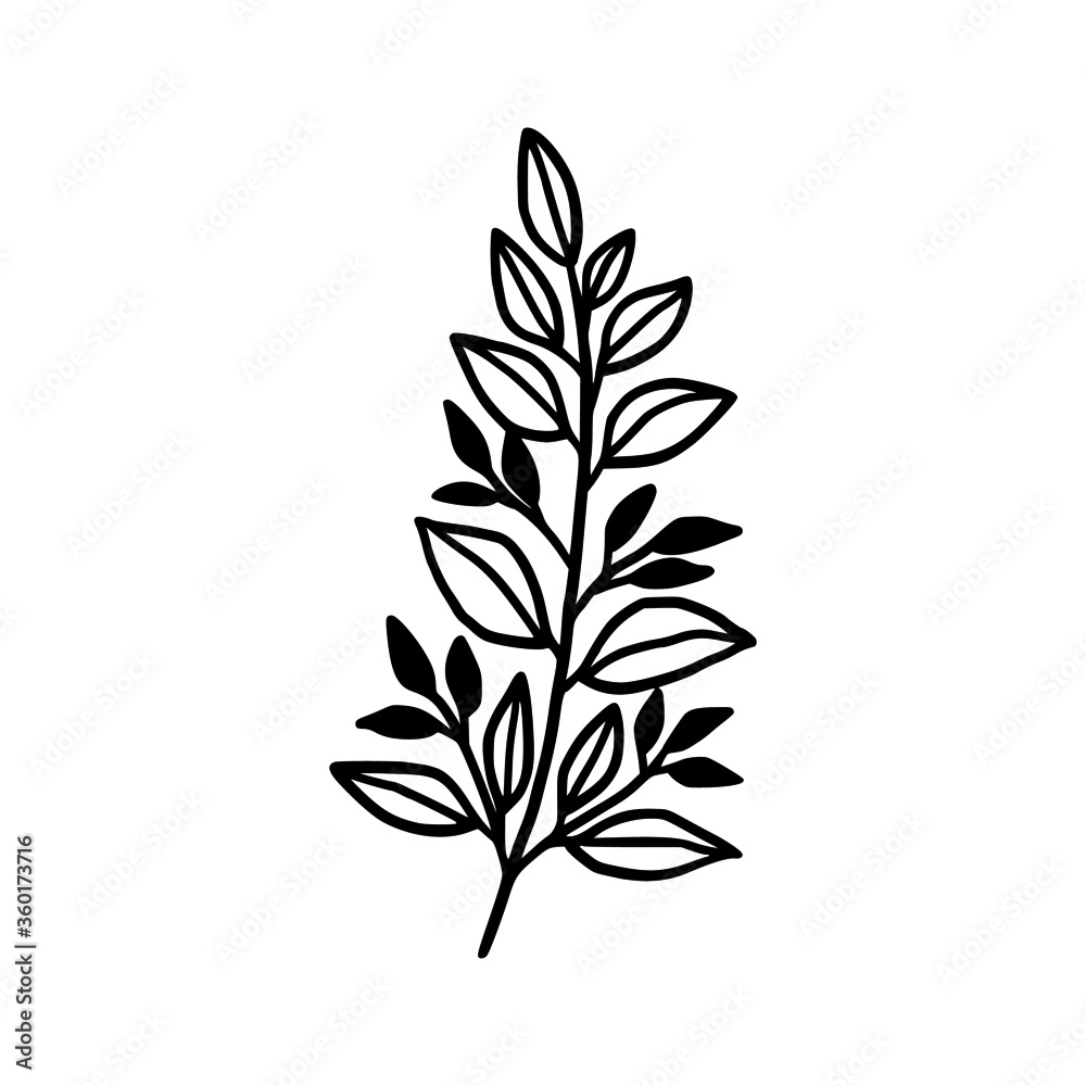 Fototapeta premium Hand drawn monochrome plant, leaf, and foliage element for wedding invitation, logo, symbol, greeting cards, decor, botanical icon, or banner. Summer, spring, and autumn botany element