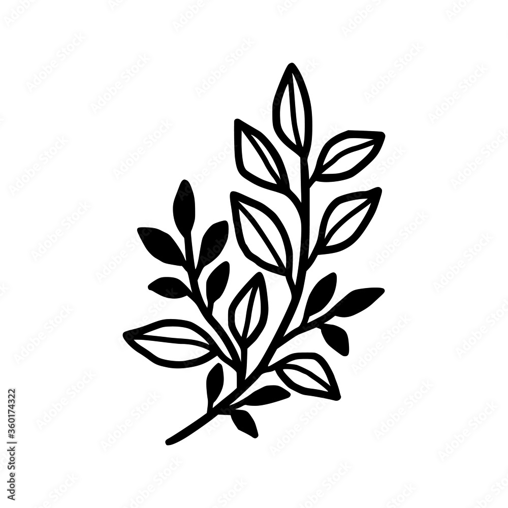 Fototapeta premium Hand drawn monochrome plant, leaf, and foliage element for wedding invitation, logo, symbol, greeting cards, decor, botanical icon, or banner. Summer, spring, and autumn botany element