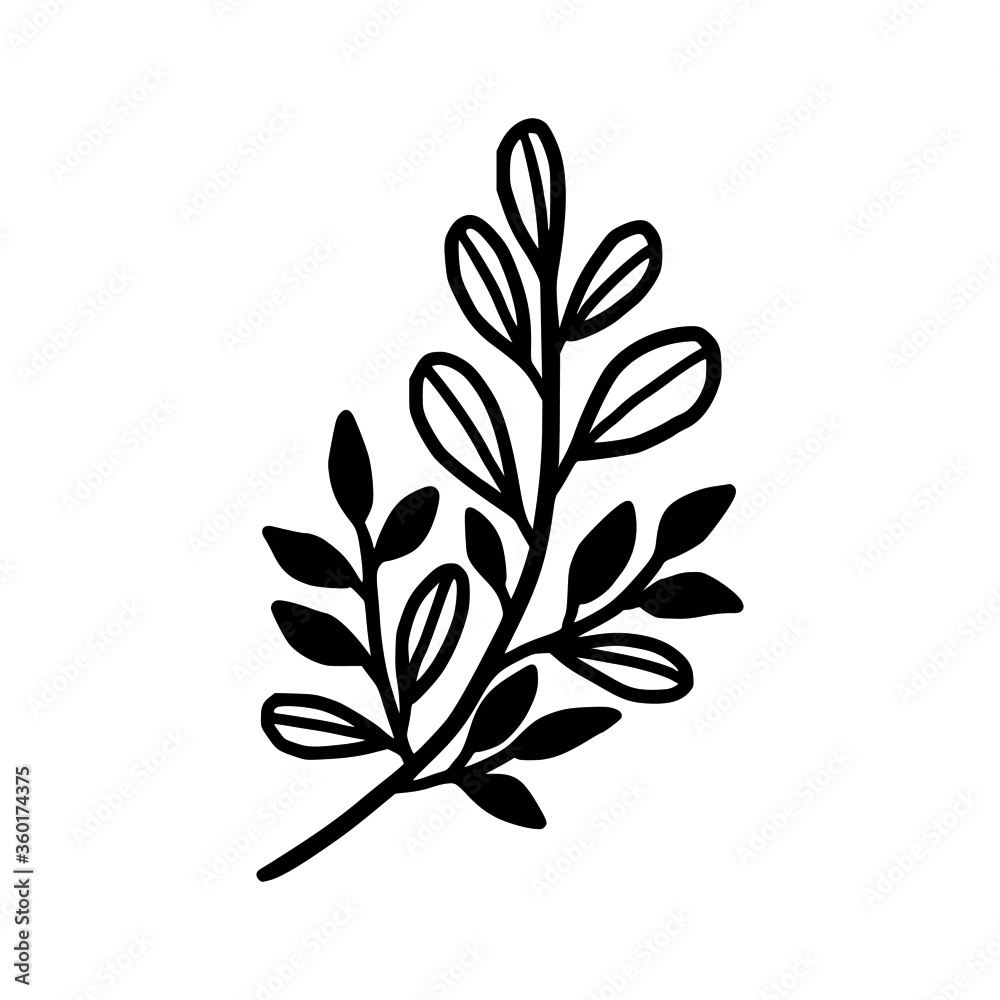Hand drawn monochrome plant, leaf, and foliage element for wedding invitation, logo, symbol, greeting cards, decor, botanical icon, or banner. Summer, spring, and autumn botany element Hand drawn monochrome plant, leaf, and foliage element for wedding invitation, logo, symbol, greeting cards, decor, botanical icon, or banner. Summer, spring, and autumn botany element