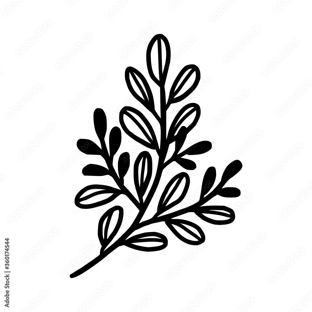 Hand drawn monochrome plant, leaf, and foliage element for wedding invitation, logo, symbol, greeting cards, decor, botanical icon, or banner. Summer, spring, and autumn botany element