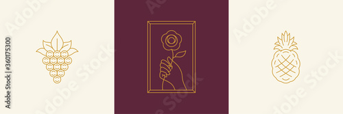 Vector line decoration design elements set - rose and gesture hand illustrations simple minimal linear style