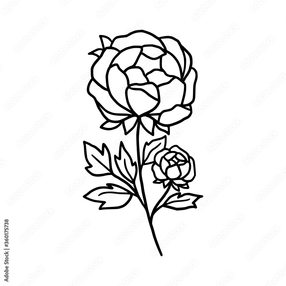 Hand drawn monochrome peony flower element for wedding invitation, logo, symbol, greeting cards, decor, botanical icon, or banner. Summer, spring, and autumn botany element Hand drawn monochrome peony flower element for wedding invitation, logo, symbol, greeting cards, decor, botanical icon, or banner. Summer, spring, and autumn botany element