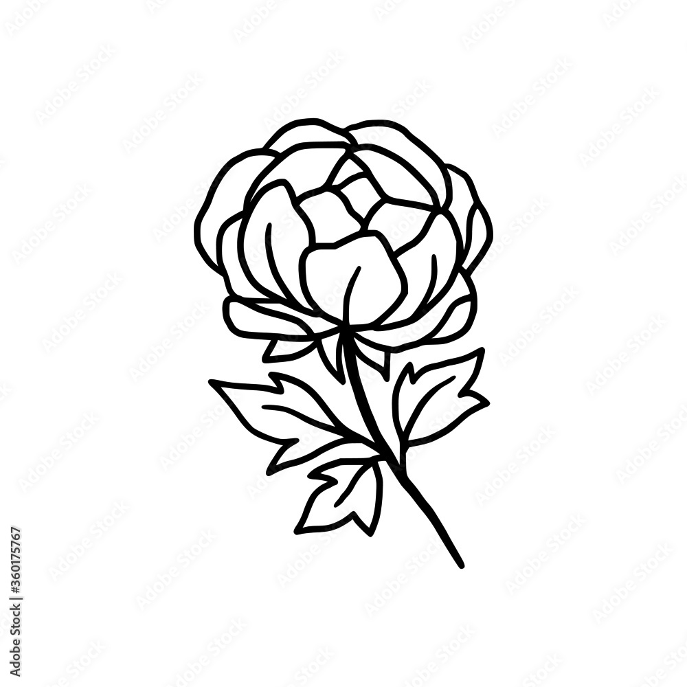 Obraz premium Hand drawn monochrome peony flower element for wedding invitation, logo, symbol, greeting cards, decor, botanical icon, or banner. Summer, spring, and autumn botany element