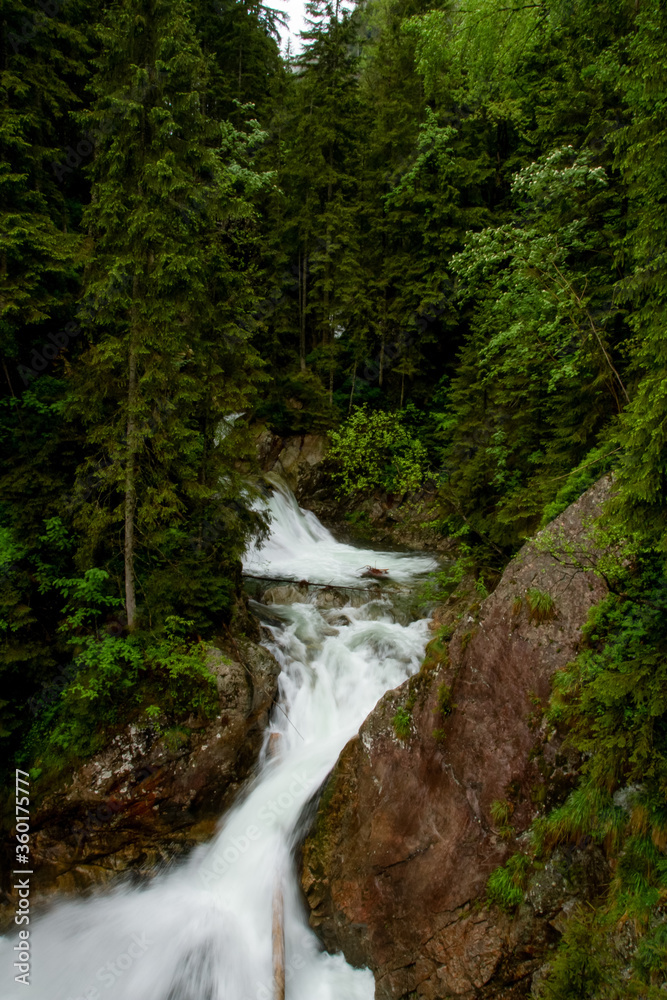 .River in the mountains among the trees. Rainy day in the mountains. Summer in the mountains. Waterfall. Tatra mountains..