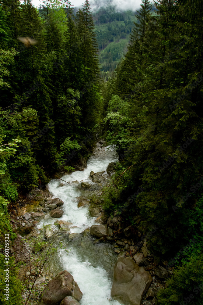 .River in the mountains among the trees. Rainy day in the mountains. Summer in the mountains. Waterfall. Tatra mountains.. .River in the mountains among the trees. Rainy day in the mountains. Summer in the mountains. Waterfall. Tatra mountains..