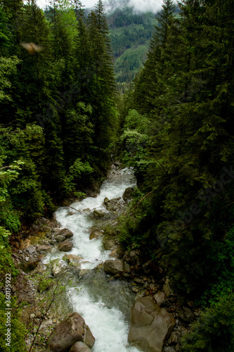 .River in the mountains among the trees. Rainy day in the mountains. Summer in the mountains. Waterfall. Tatra mountains..