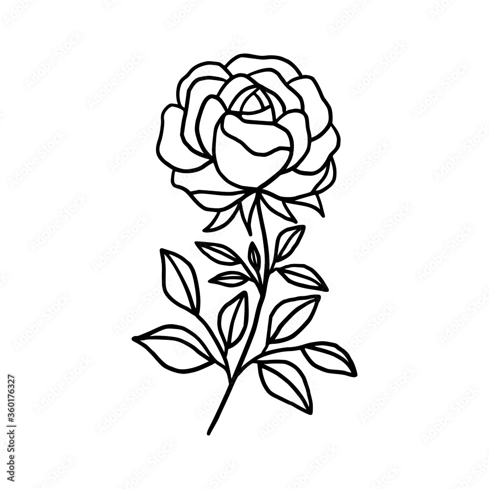 Hand drawn monochrome rose flower plant, leaf, and foliage element for wedding invitation, logo, symbol, greeting cards, decor, botanical icon, or banner. Summer, spring, and autumn botany element Hand drawn monochrome rose flower plant, leaf, and foliage element for wedding invitation, logo, symbol, greeting cards, decor, botanical icon, or banner. Summer, spring, and autumn botany element