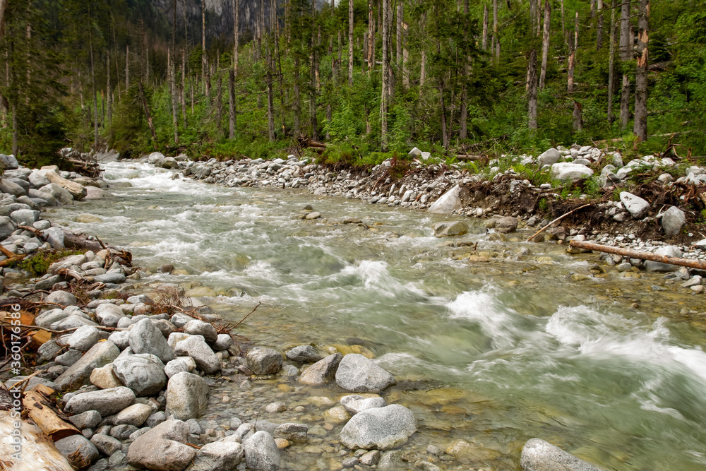 .River in the mountains among the trees. Rainy day in the mountains. Summer in the mountains. Waterfall. Tatra mountains.. .River in the mountains among the trees. Rainy day in the mountains. Summer in the mountains. Waterfall. Tatra mountains..