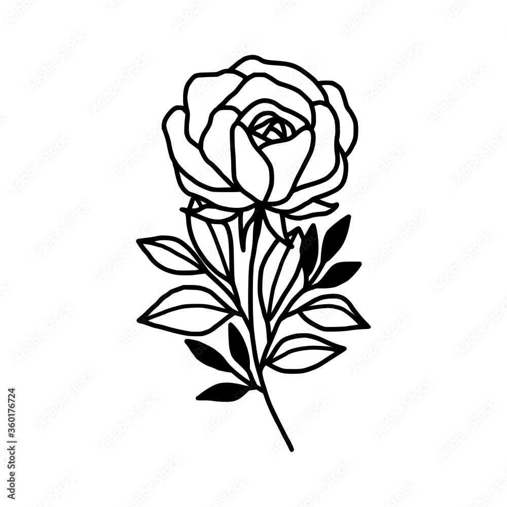 Hand drawn monochrome rose flower plant, leaf, and foliage element for wedding invitation, logo, symbol, greeting cards, decor, botanical icon, or banner. Summer, spring, and autumn botany element Hand drawn monochrome rose flower plant, leaf, and foliage element for wedding invitation, logo, symbol, greeting cards, decor, botanical icon, or banner. Summer, spring, and autumn botany element
