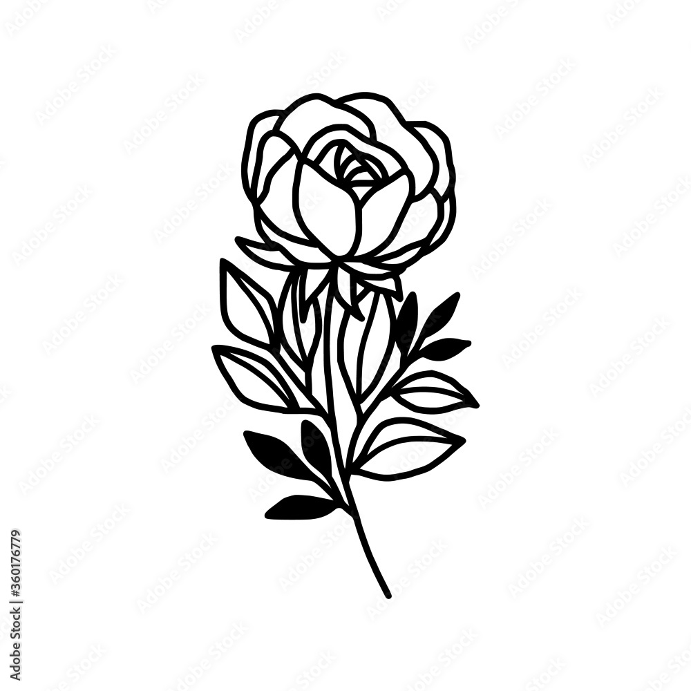 Hand drawn monochrome rose flower plant, leaf, and foliage element for wedding invitation, logo, symbol, greeting cards, decor, botanical icon, or banner. Summer, spring, and autumn botany element Hand drawn monochrome rose flower plant, leaf, and foliage element for wedding invitation, logo, symbol, greeting cards, decor, botanical icon, or banner. Summer, spring, and autumn botany element