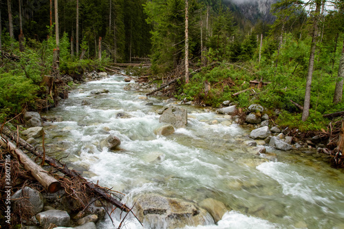 .River in the mountains among the trees. Rainy day in the mountains. Summer in the mountains. Waterfall. Tatra mountains..