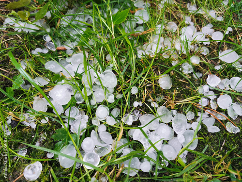 a large hail destroyed the grass