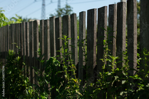 wooden fence in the village in summer
