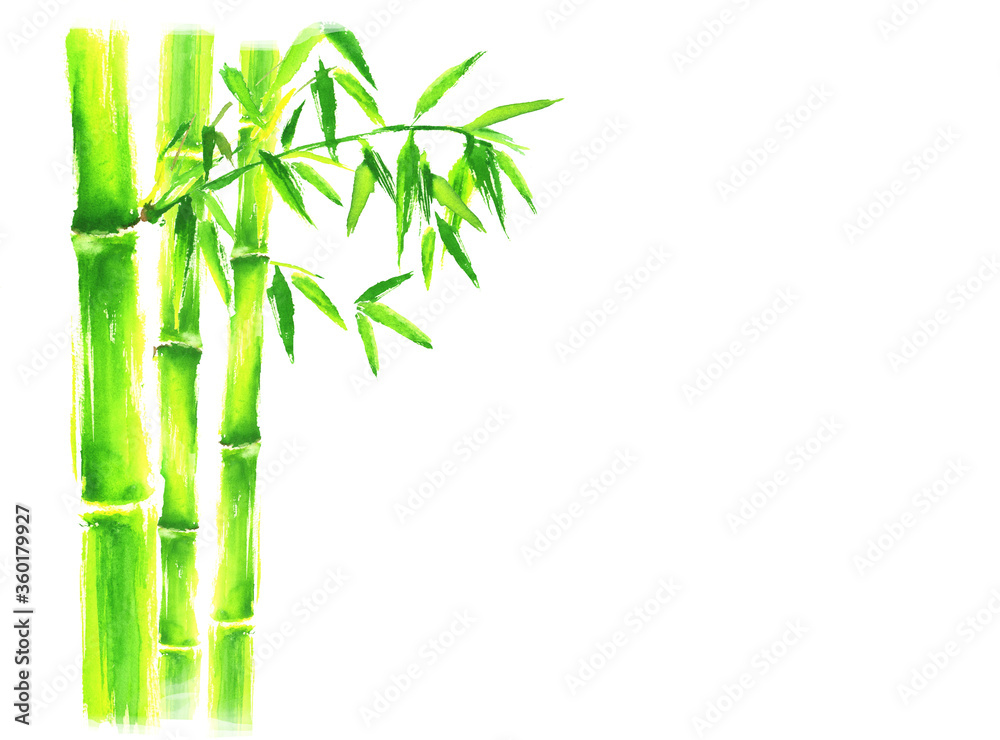 竹イラスト水彩背景手描き日本stock Illustration Adobe Stock