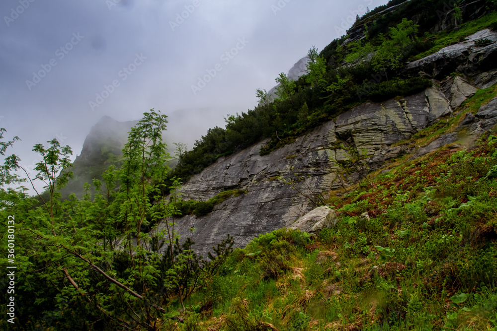 The mountains. Hiking in the mountains. Rainy day in the mountains. Summer in the mountains. Тatras. The mountains. Hiking in the mountains. Rainy day in the mountains. Summer in the mountains. Тatras.