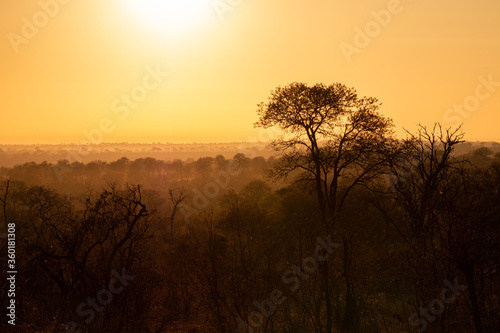 Sonnenaufgang Kruger Nationalpark