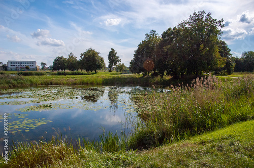 Park w Radzyniu Podlaskim przy Pa  acu Potockich