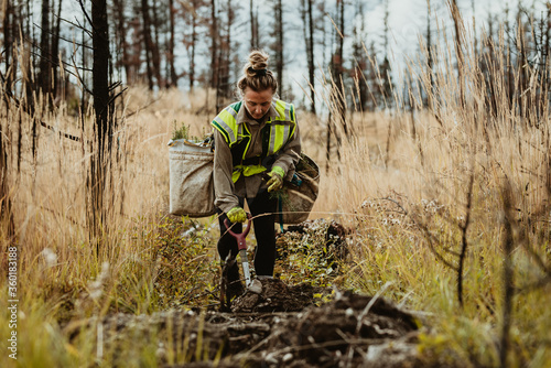 Female forester planting seedlings photo