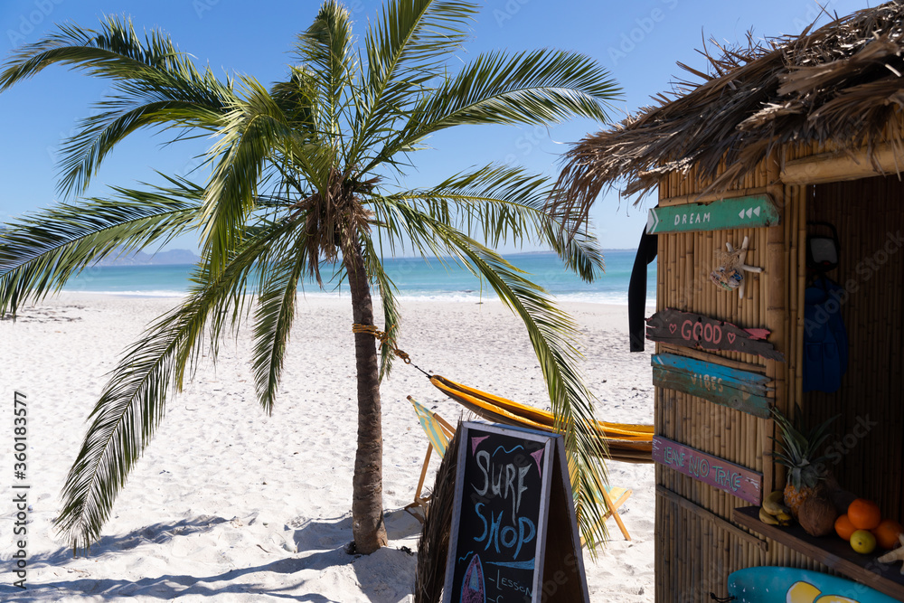 Naklejka premium Wspaniały widok na plażę z palmą i sklepem surfingowym