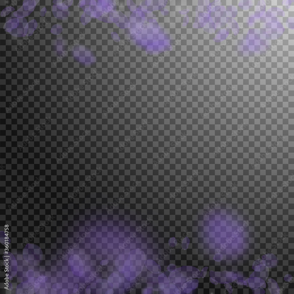 Violet flower petals falling down. Charming romant Violet flower petals falling down. Charming romant