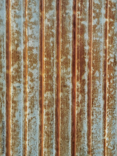 Rust on the gate became a beautiful surface.