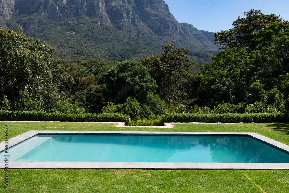 Magnificent view of a swimming pool standing in a garden
