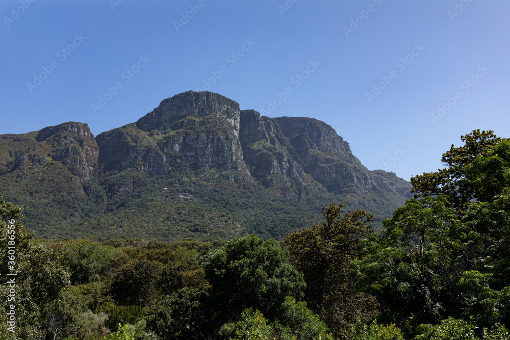 Magnificent view of mountains and multiple trees