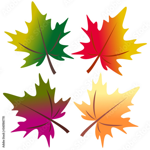 Set of four colored maple leaves with a gradient. Vector illustration  element for design.