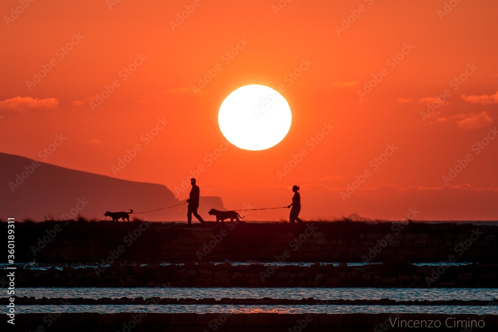 silhouette of people walking during sunset