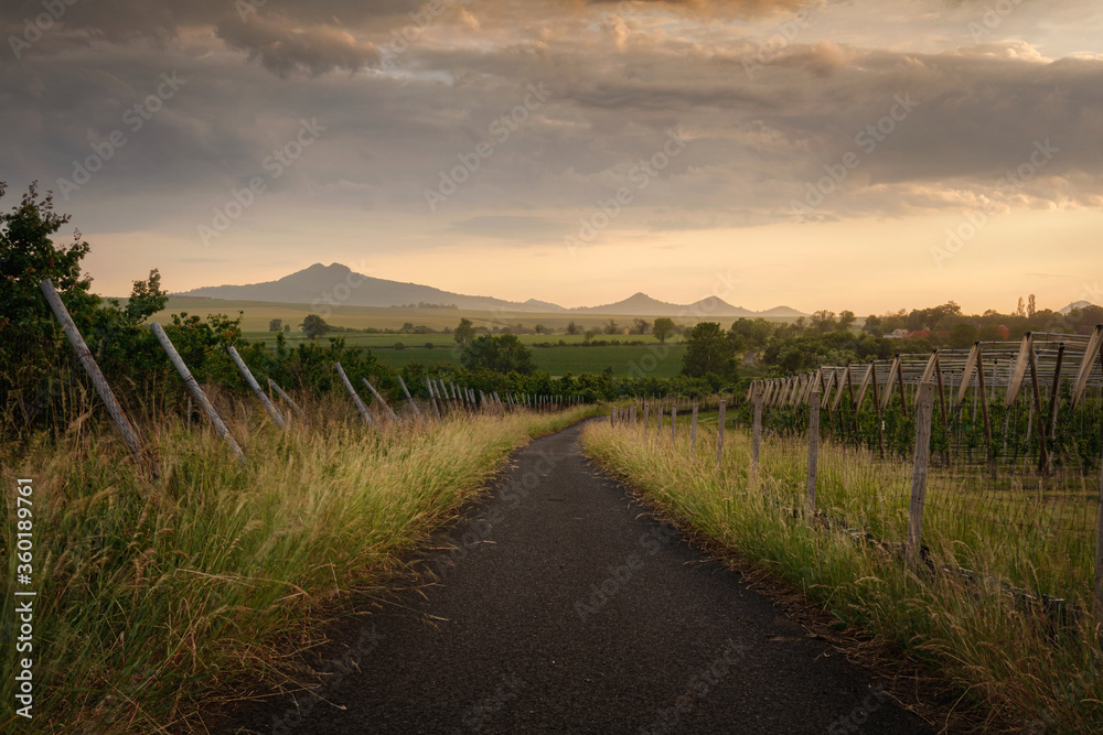 Rolling hills with fields in sunset light suitable for backgrounds or wallpapers. Ceske Stredohori, Czech republic