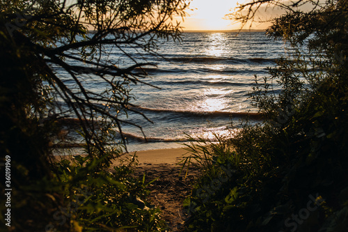 The beautiful coast during the sunset
