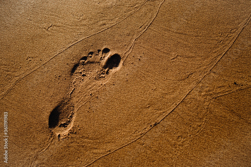 The footprint on the sand