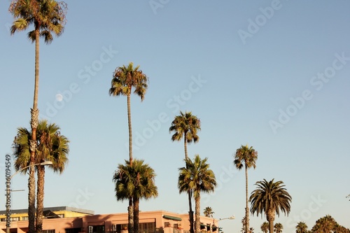 Fototapeta Naklejka Na Ścianę i Meble -  Santa Monica, California 