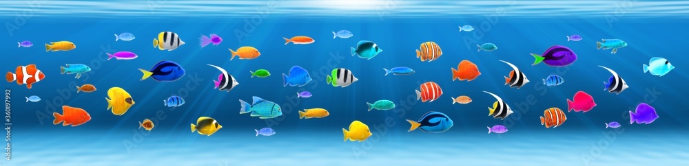 Naklejka premium Meer Fische Unterwasserwelt